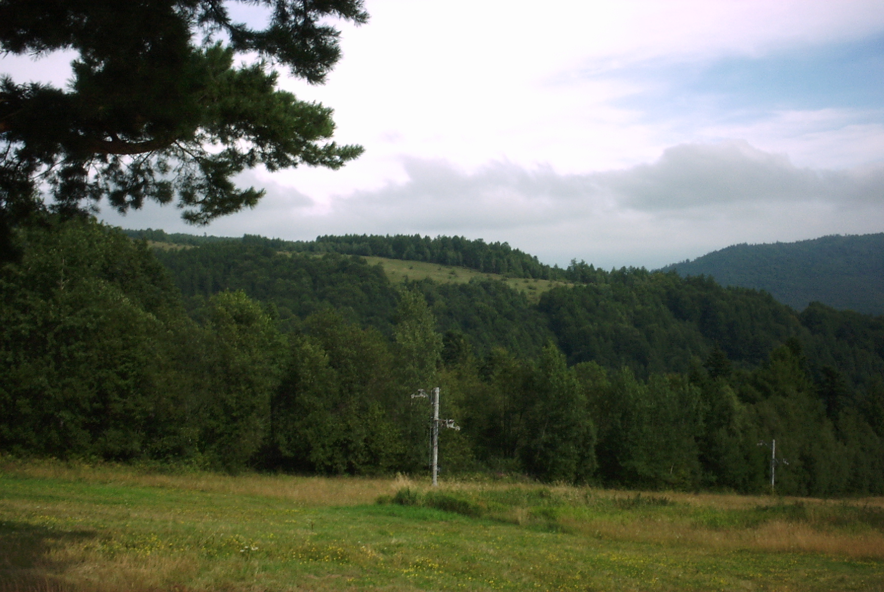 PICT0051.JPG